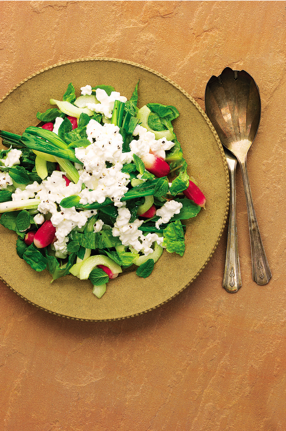 Grilled spring onions, cucumber salad with radishes and ...