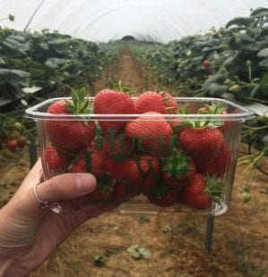 French Strawberry Tart Recipe | Delicious. Magazine