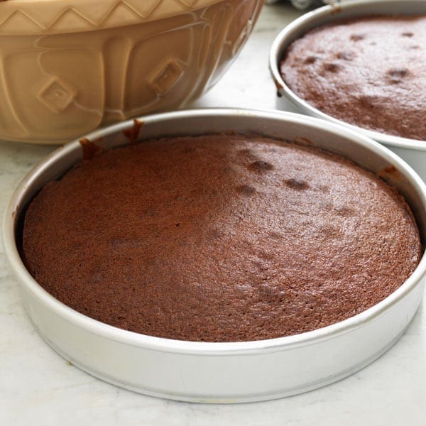 Basic Cake, Cupcake and Muffin Mix (SHIP or pickup) – Sensitive Sweets  Bakery