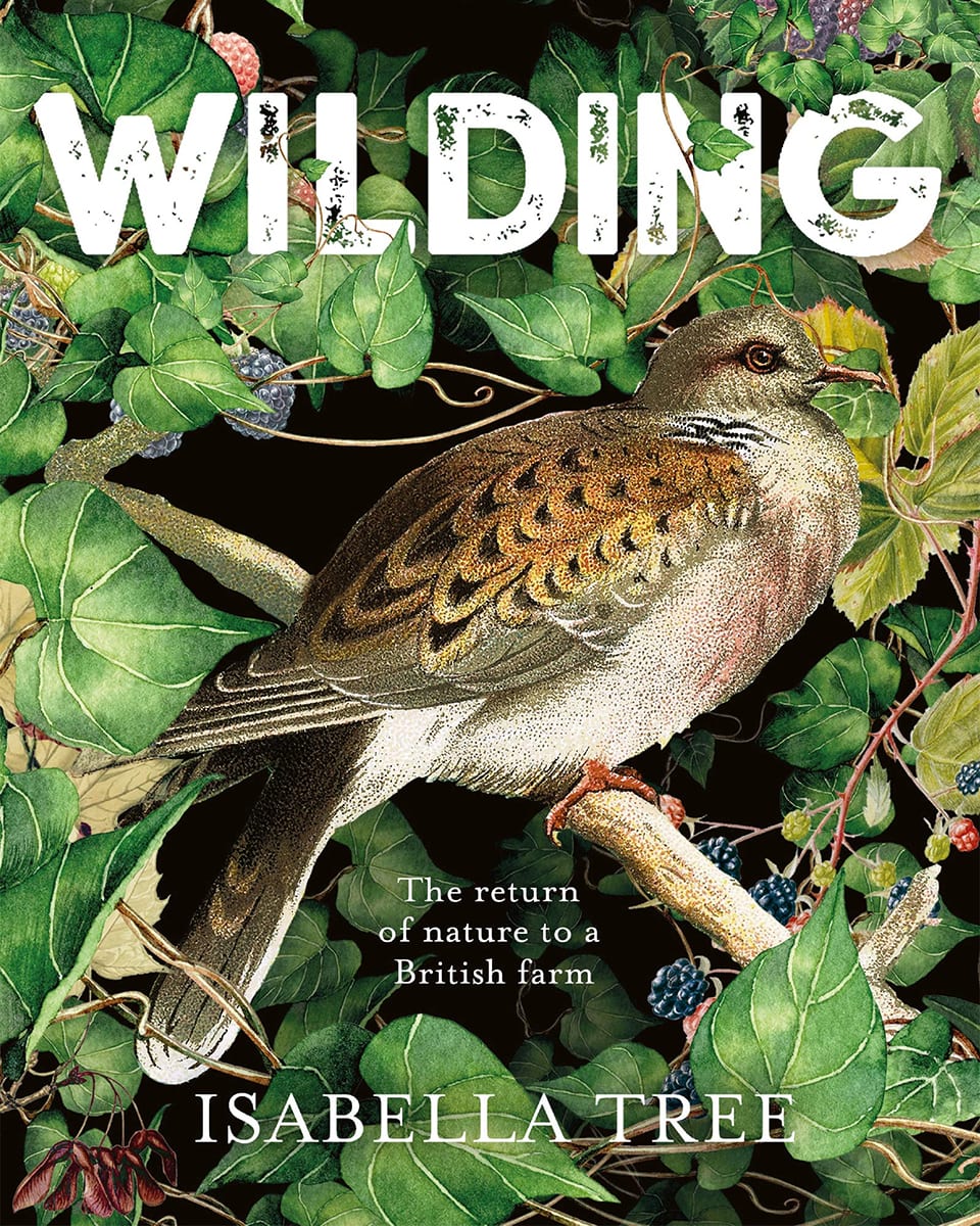 wilding by isabella tree review