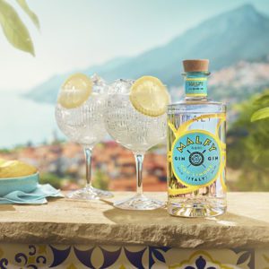 12 best new gins to try this summer - delicious. magazine