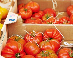 Tomatoes in October? What new tech and climate change mean for seasonal eating