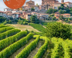 Your essential food guide to Piedmont