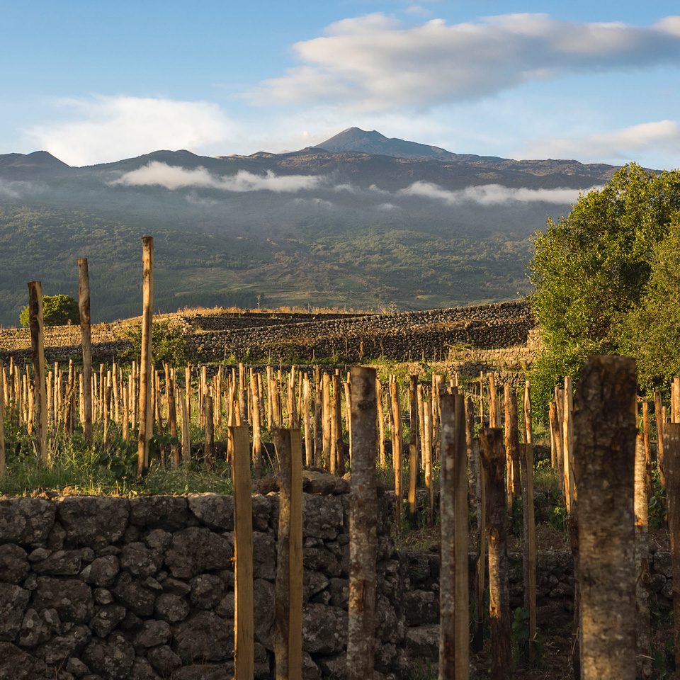 Mount Etna landscape